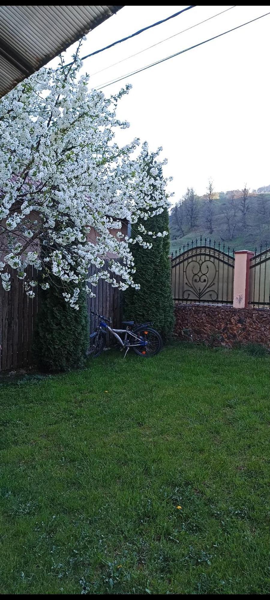 Popasul Drumetului Transfagarasan Hotel Curtea De Arges Exterior photo